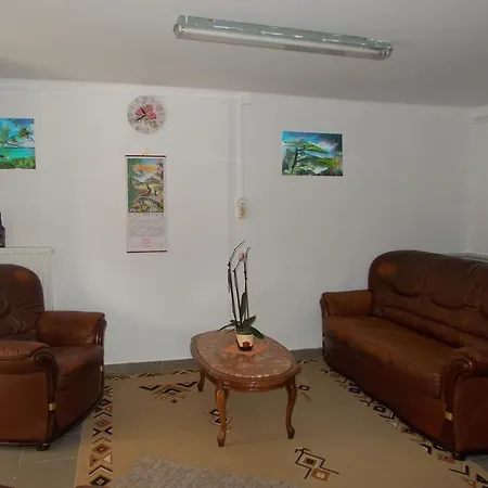 Vendegszallo Guest house *